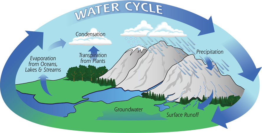 Dạng bài Process - Water Cycle